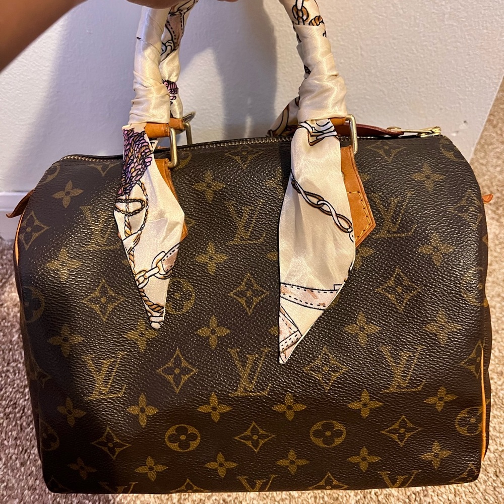Louis Vuitton speedy 25